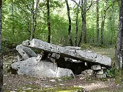 Image illustrative de l’article Dolmen de Peyrelevade (Limeyrat)