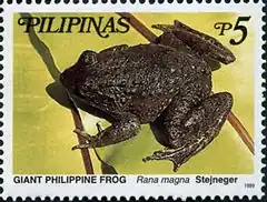 Description de l'image Limnonectes magnus 1999 stamp of the Philippines.jpg.