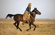 Cheval sombre au galop sur fond de désert, monté par une femme âgée.