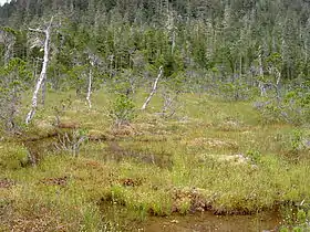 Paysage de l'île Kupreanof