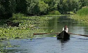 La réserve protège le milieu, la biodiversité et les pratiques durables (ici un pêcheur lipovène de Chilia Veche dans une lotca traditionnelle).