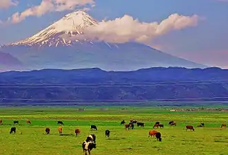 Petit-Ararat.