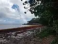 Littoral entre la pointe de la saline et l'anse du Mont