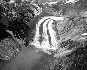 Vue aérienne du glacier Lituya avec le lieu du déclenchement du tsunami en bas de l'image : le glissement de terrain est entré dans la baie sur le rivage en bas à droite et le déferlement de la vague a atteint 525 mètres d'altitude sur le rivage opposé où l'absence totale de végétation est clairement visible.