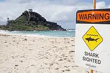 Plage avec un panneau « warning. Shark sighted. Keep out » et le logo d'un requin.