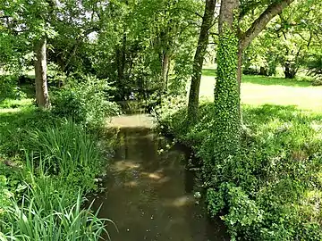 Bras de la Lizonne au Moulin du Treuil.