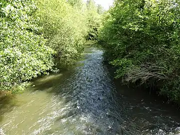 La Lizonne au pont des RD 1 et 24, en limite du département de la Dordogne.