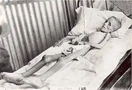 Lizzie van Zyl, en inanition dans le camp de concentration de Bloemfontein.