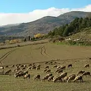 Vallée de Llívia, 2006.