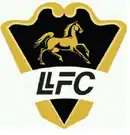 Logo du Llaneros FC