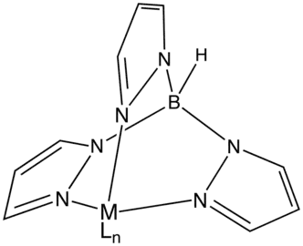 Géométrie idéalisée d'un centre métallique M, éventuellement lié à ses ligands Ln, lié aux trois pyrazoles du ligand Tp.