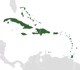 Carte des Antilles (en vert) dans les Caraïbes.