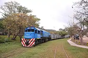 Train de marchandises de l'entreprise publique argentine Belgrano Cargas y Logística traversant une zone rurale du pays.