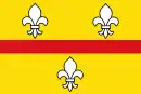 Drapeau de Loenen