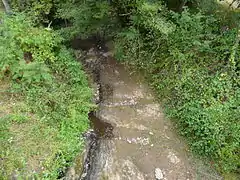 La Logne presque à sec près de Chalmont.