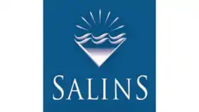 logo de Salins (entreprise)