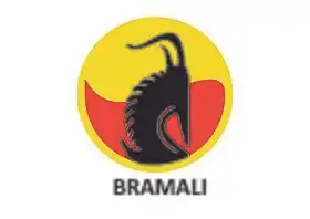 logo de Bramali