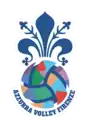 Logo du Azzurra Volley Florence