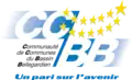 Logotype de la communauté de communes jusqu'en 2009.