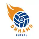 Logo du Dynamo-Yantar