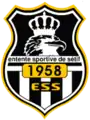 Ancien logo du club (2009-2011)