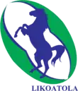 Description de l'image Logo Federation of Lesotho Rugby.png.