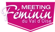 Description de l'image Logo_Feminin_2016.png.