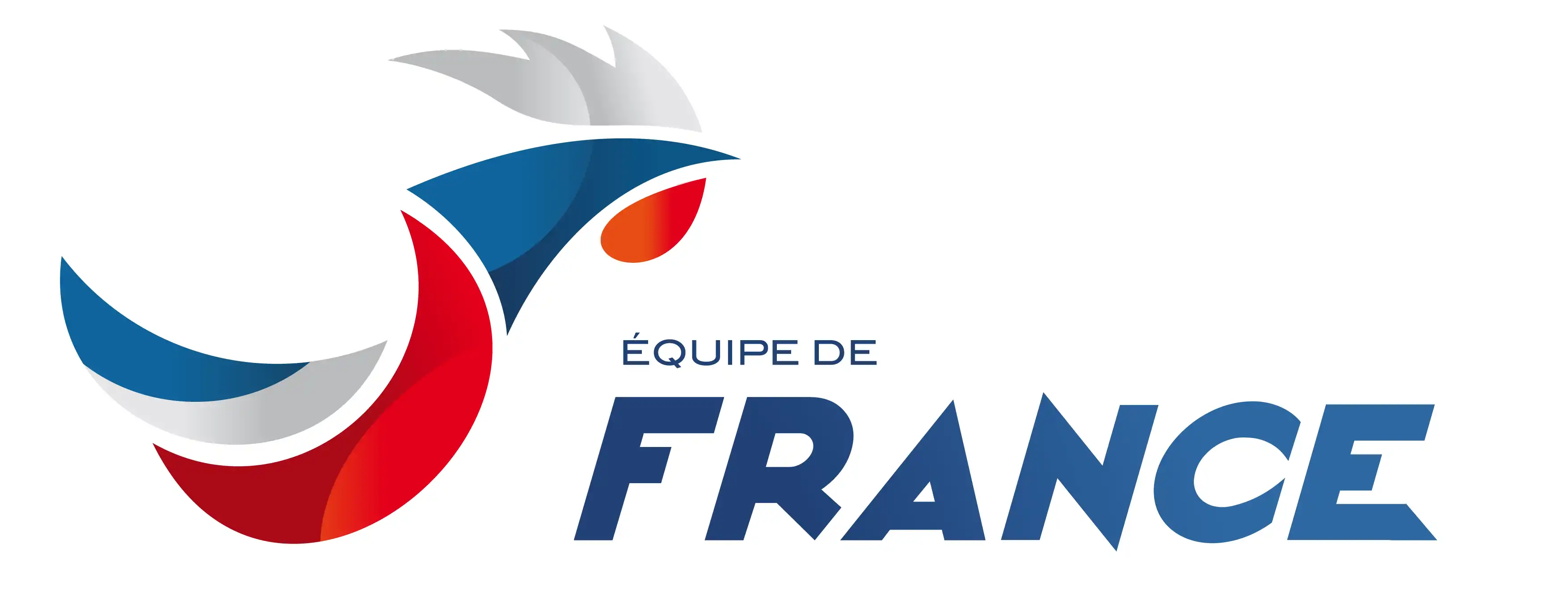 Logo du Équipe de France de Moto-Ball