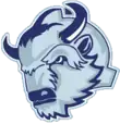 Description de l'image Logo HK Dinamo-Chinnik.png.