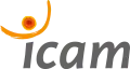 Nouveau logo de l'Icam toutes formations depuis septembre 2008.