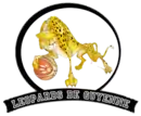 Logo du BordeauxLéopards de Guyenne