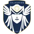 Logo du Levallois Sporting Club Volley-ball