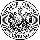 Logo du Robur Tiboni Volley