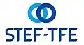 1992 : la Financière de l'Atlantique, unique actionnaire, organise l'activité autour de 3 réseaux : entreposage (STEF), transport (TFE) et activités de marée (Tradimar).