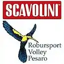Logo du Volley Pesaro