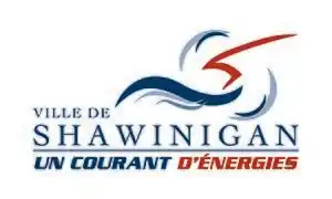 Drapeau de Shawinigan