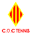 Logo du section de tennis