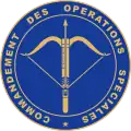 Commandement des opérations spéciales (COS)