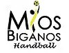 Logo du Union sportive Mios-Biganos