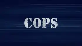 Image illustrative de l’article COPS (émission de télévision)