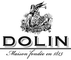 logo de Dolin