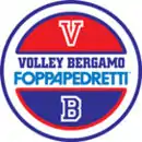 Logo du Volley Bergamo