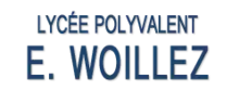 Description de l'image Logo woillez.png.