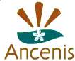 Ancenis