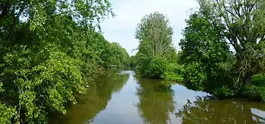 Le Loir, vu du pont de Montrieux (Naveil).