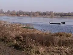 La Loire à La Pointe.