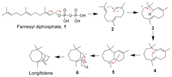 Biosynthèse du longifolène.