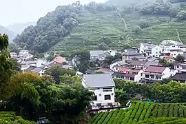 Le village de Longjing, entouré de plantations.