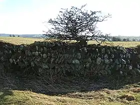 Longovicium, fort romain de Lanchester (Angleterre).