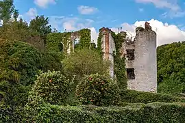 Les vestiges du château.